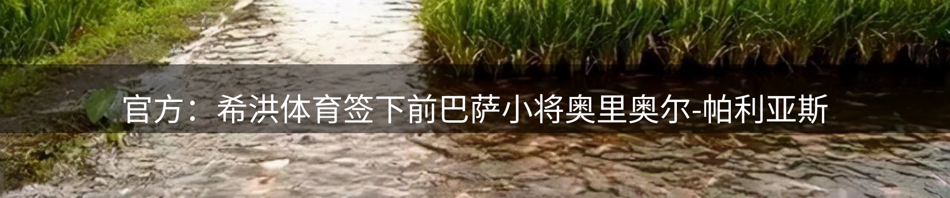 内页banner